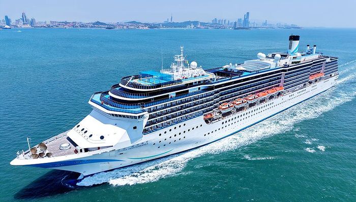 森合創新解散啟示：智能割草機行業的“技術陷阱”與生存法則