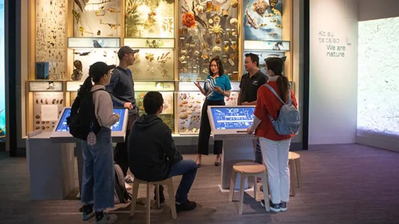 東北“低物價天堂”背后的經濟邏輯