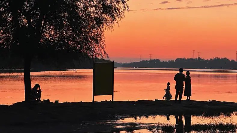 日本40歲人妻化身爽文女主，出軌男女賠到破產